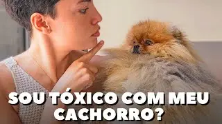 6 COMPORTAMENTOS TÓXICOS| Seu cachorro está em um relacionamento abusivo com você?