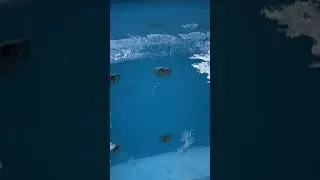 Купель замерзла до дна! Почти два месяца на морозе без топки)) Трэш, жесть))) 
