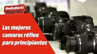 ¡Las mejores cámaras réflex para principiantes!