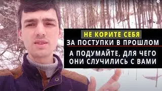 Сорвался На Сыроедении? Что Мне Делать?