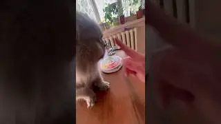 Бузь по носику..))😉