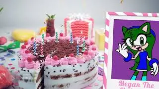 Happy Birthday to Megan The Hedgehog 🎉🎂🎊🥳🍰🎁🧁🎈