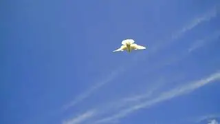 06 06 22г 2