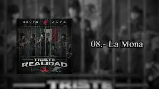 08.- Grupo Alfa - La Mona