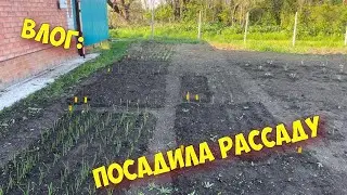 Посадила рассаду/ приготовила очень вкусный борщ/ Виталику сделали операцию на зубах.