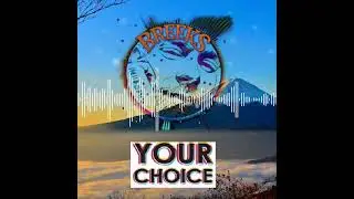 Your Choice [Original Mix]
