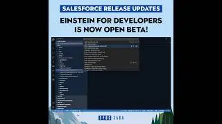 Einstein For Developers is now Open Beta! 