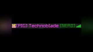 Tribute to Technoblade..