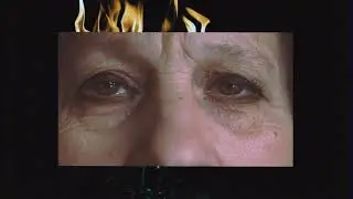 Galaxy of Trees - Razzin'