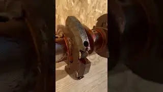 АМТЗКолД240