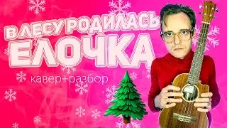 В лесу родилась елочка укулеле фингерстайл кавер/разбор