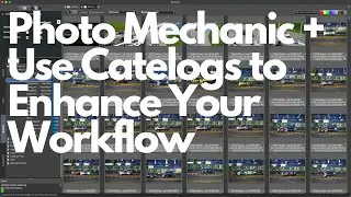 Unlock Efficient Photo Workflows Using Photo Mechanic Plus Catalogs