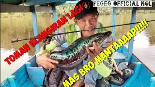 TOMAN|2020 BLANGIRAN