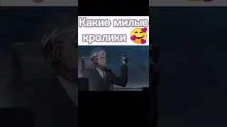 Какие милые кролики 🥰