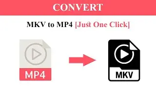 How to convert MKV to MP4| MKV to MP4 converter | MKV file not supporting in vlc & premier pro