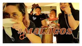 MALAGOS IN 2022 (and their lunch buffet 🍴)