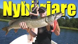 Lär en nybörjare fånga grov Gädda