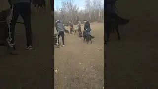 послушание в группе /донецкий ботсад