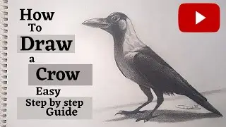 How to draw a Crow Easy Step by Step