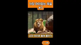 역사상 가장 어이없는 죽음 part3 #shorts