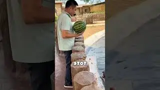 Мальчик Покормил Пухлых Бегемотов😍❤️