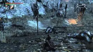 Bloodborne - Live 2