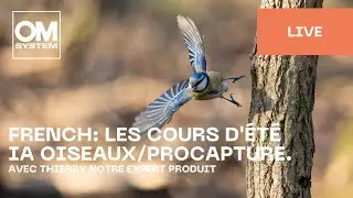 French | Les cours d'été:  IA des oiseaux / ProCapture