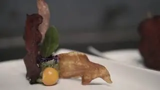 Jungle Culinary Adventure - HiR Fine Dining by TamCam