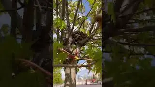 Что там спряталось