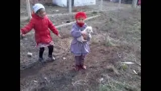 Шика, Аяука и кучёнок 2014 04 13