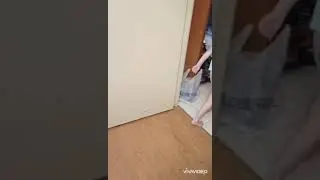 ночные гонки