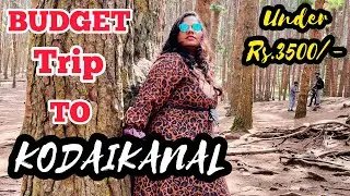 Budget trip to Kodaikanal |கொடைக்கானலுக்கு பட்ஜெட் பயணம் | Under Rs.3500 |Travel Blog~பயண வலைப்பதிவு