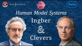 Roundtable #6 - Human Model Systems w/ Don Ingber @ Wyss Institute & Hans Clevers @ Roche | BIOS