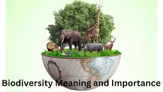 Biodiversity Meaning and Importance -  Dr Govardhan Dikonda