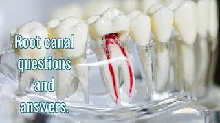 هل علاج العصب يسبب أمراض لباقي الجسد ؟