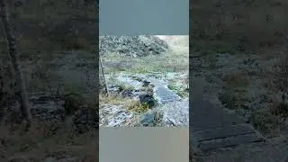 Долина нарзанов. Кисловодск
