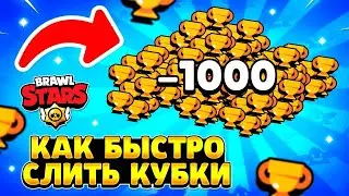 ГАЙД: КАК БЫСТРО СЛИТЬ КУБКИ В БРАВЛ СТАРС В 2024 ГОДУ