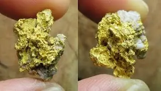 Hunting For More Reef Gold