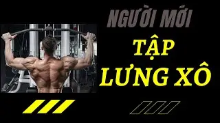 Back Day Workout