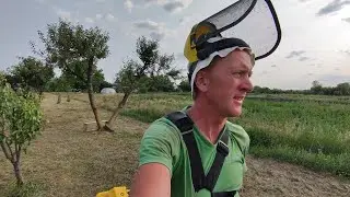 Летние будни станичников.