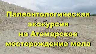 Палеонтологическая экскурсия на Атемарское месторождение мела