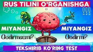 Rus tilini o'rganishga miyanggiz kuchi yetadimi? O'zinggizni tekshirib ko'ring. T E S T