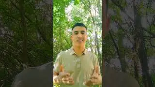 ТАБАССУМ АЖОИБ ДОРИ !!! (TABASSUM AJOIB DORI !!! )