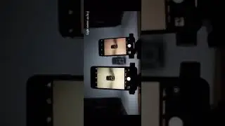 iPhone X vs. iPhone 7 Plus Lens Test