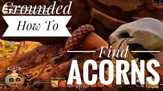 Grounded How To Find Acorns