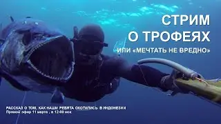 Стрим о подводных трофеях в Индонезии. 11 марта 2023, в 12-00 мск