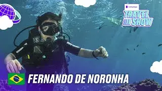 ¿Qué hacer en Fernando de Noronha 🇧🇷?