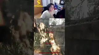 С таким тиммейтом и враги не нужны | Hunt Showdown | Hunt | Хант
