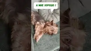 😀 А мне хорошо!  