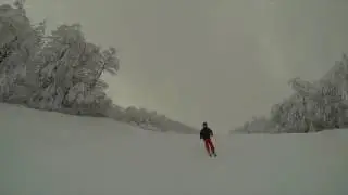 Ma meilleur année de ski! | Saison 2016/2017